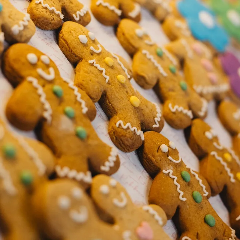Rows of freshly iced finger treats